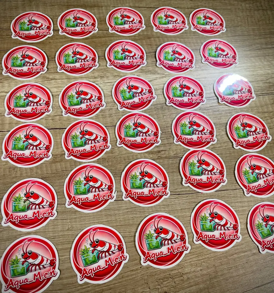 Rote runde Aufkleber mit Garnelenmotiv und dem Schriftzug Aqua M.e.n