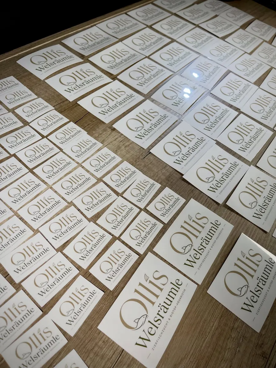 Cremefarbene Etiketten mit dem Schriftzug Ollis Welsräumle in Serifenschrift, gestapelt